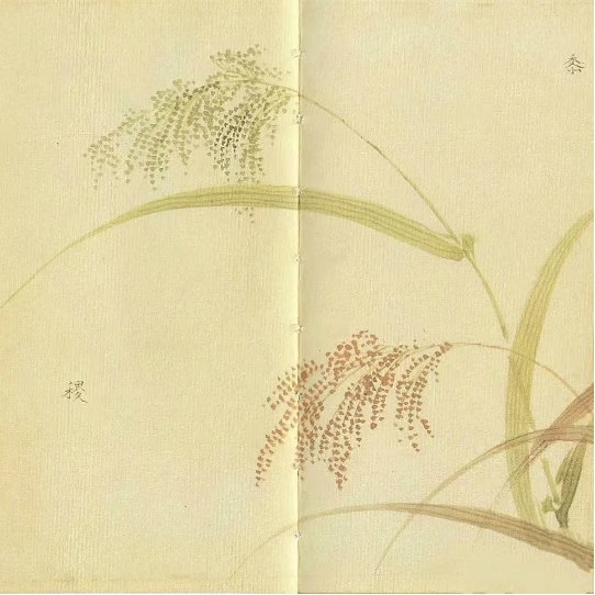1733404025829743.png 3.png