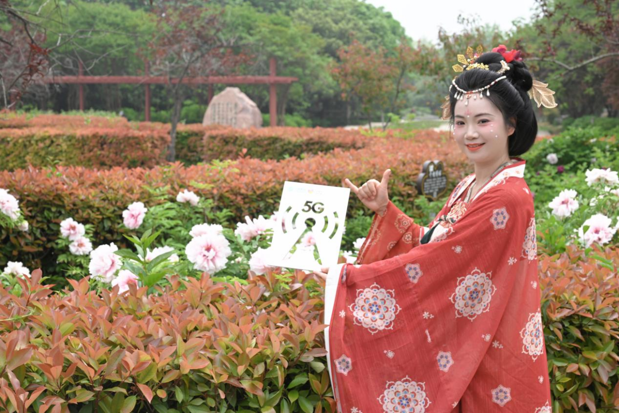 1722318036909122.png 图片8.png